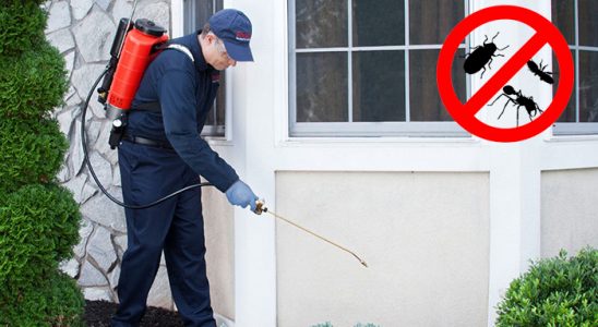 Bozyazı Fare İlaçlama böcek ilaçlama ve haşere kontrolü — ilaclama-tr.com